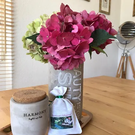 Apartman Sokograd Loft Sipovo