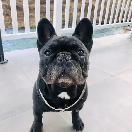 Sokograd Loft Šipovo