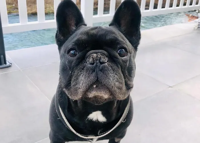 Sokograd Loft Sipovo